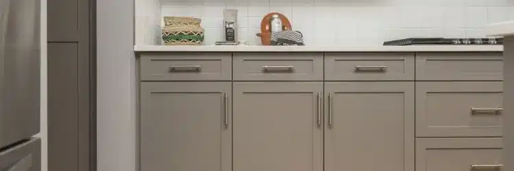 Choosing the Perfect Kitchen Cabinets: A Tampa Homeowner’s Guide